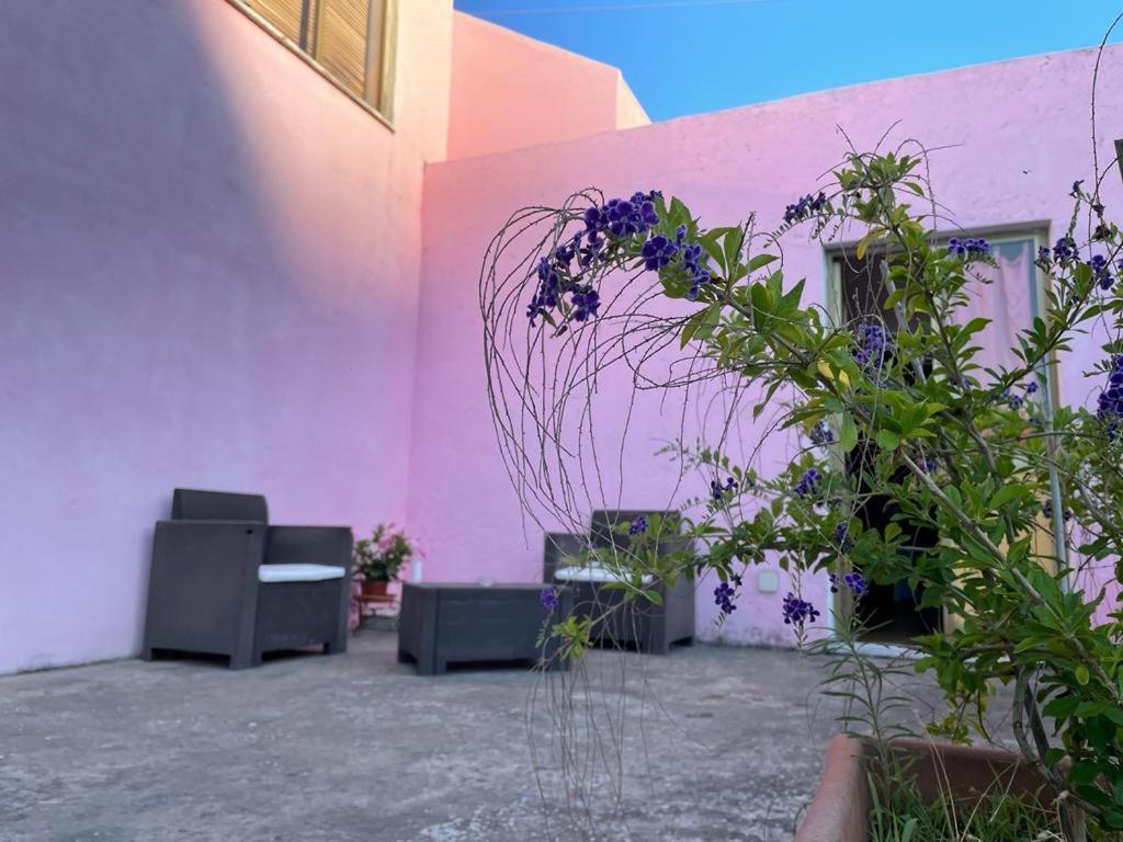 Rosa Lipari (Isola Lipari)