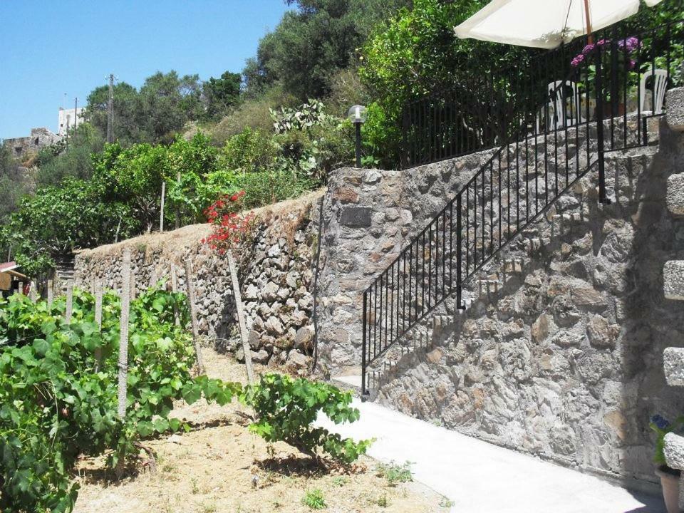 Apartment Rosa *