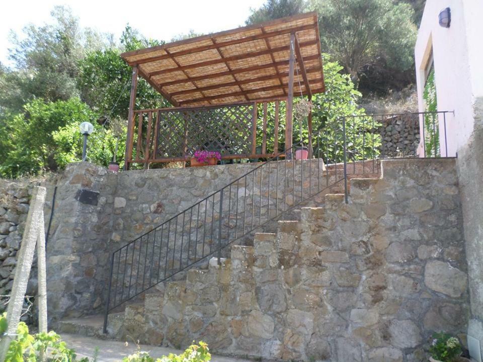 Rosa * Lipari (Isola Lipari)