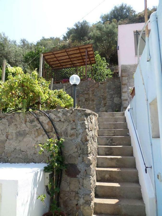 Apartment Rosa